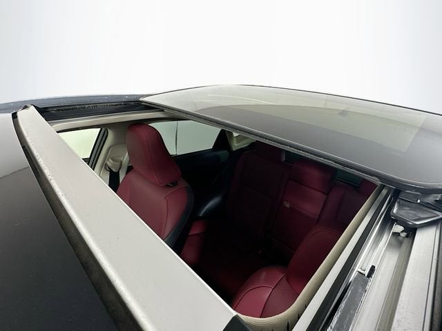 2020 Lexus NX NX 300h