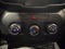 2020 Jeep Renegade Upland 4x4